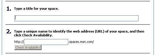 Назовите свой скриншот MSN Spaces Web Site