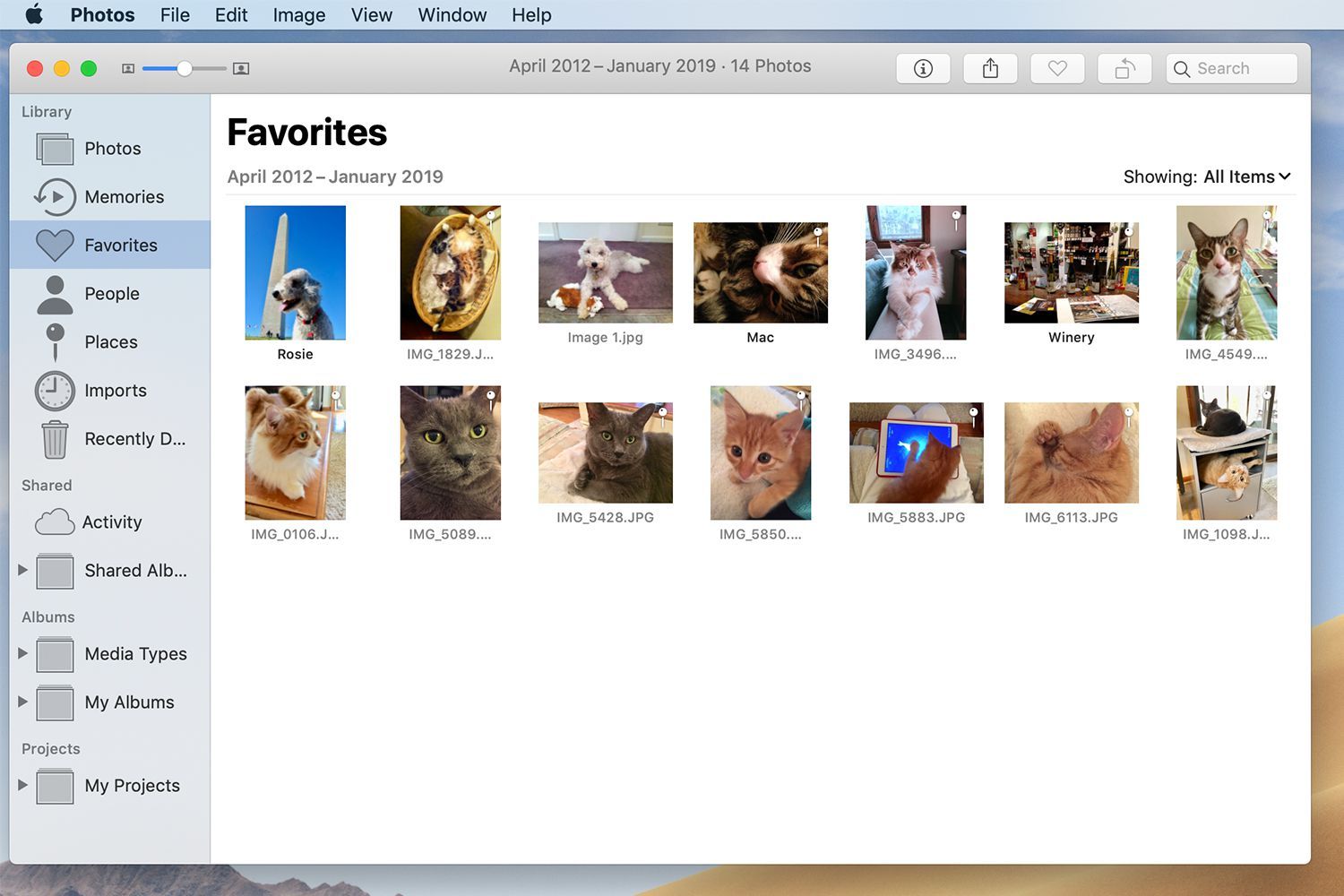 Приложение Mac Photos, отображающее папку «Избранное»