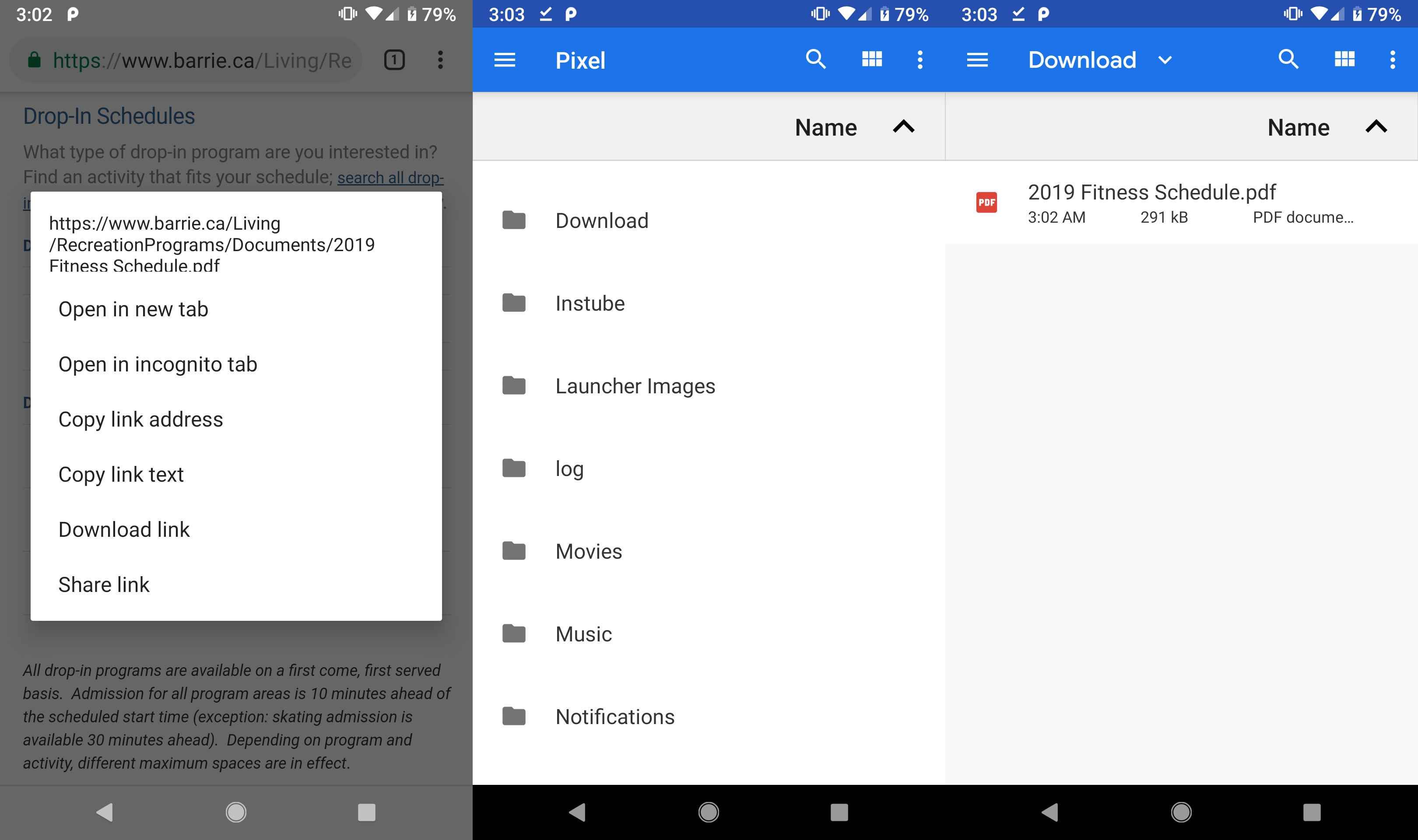 Скриншот файла PDF, загружаемого в Chrome на Android.