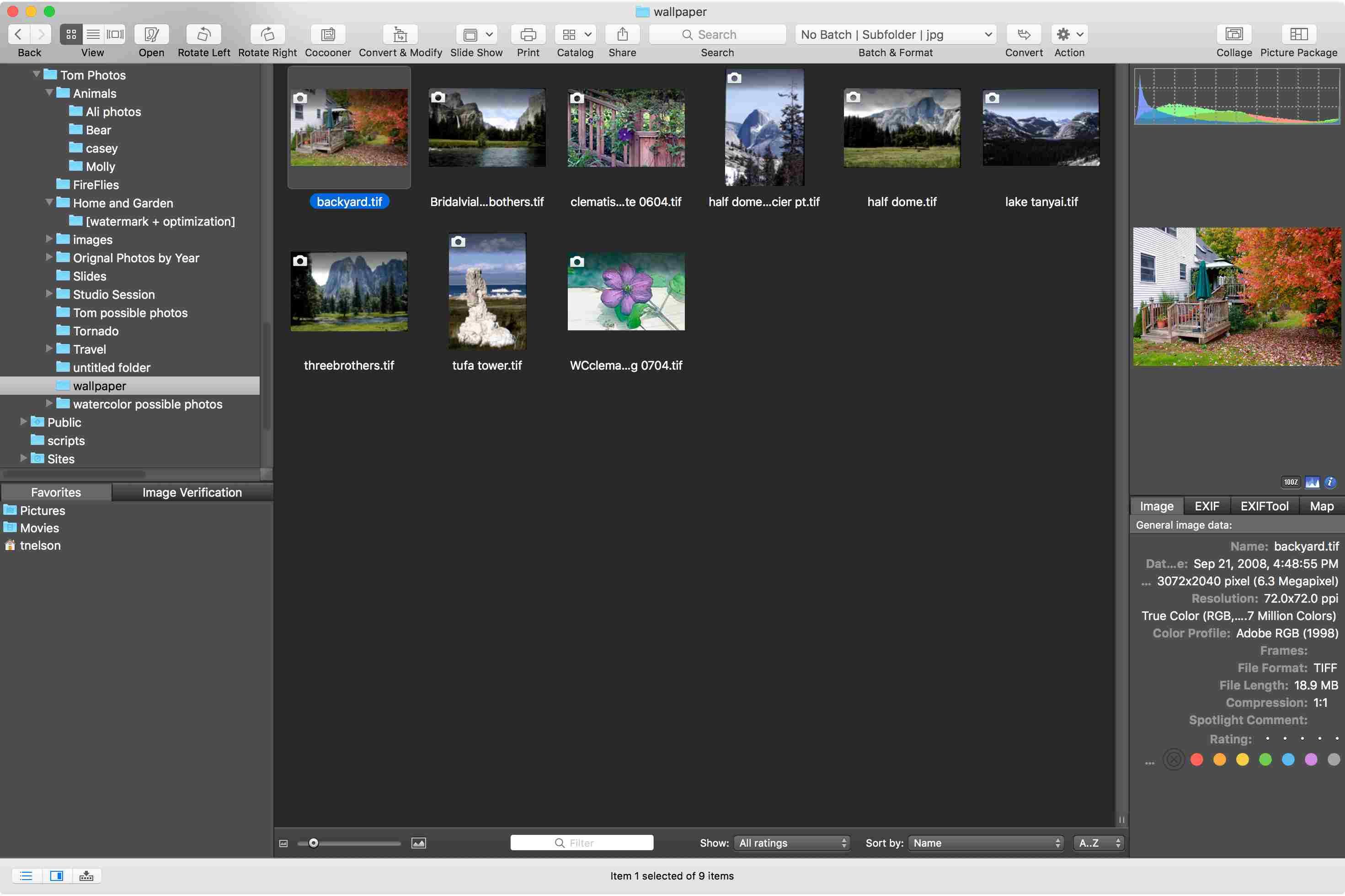 GraphicConverter 10 браузер изображений