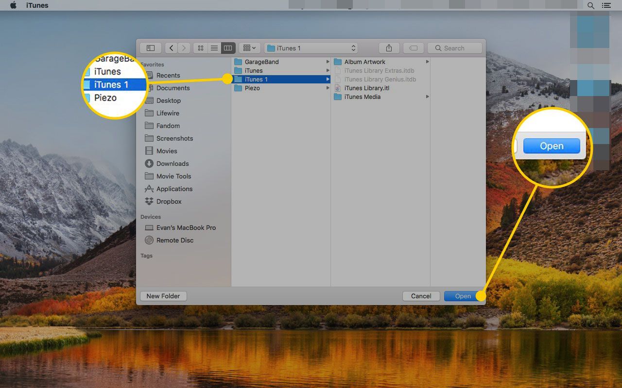 Окно iTunes на Mac с папкой библиотеки iTunes и выделенной кнопкой «Открыть»