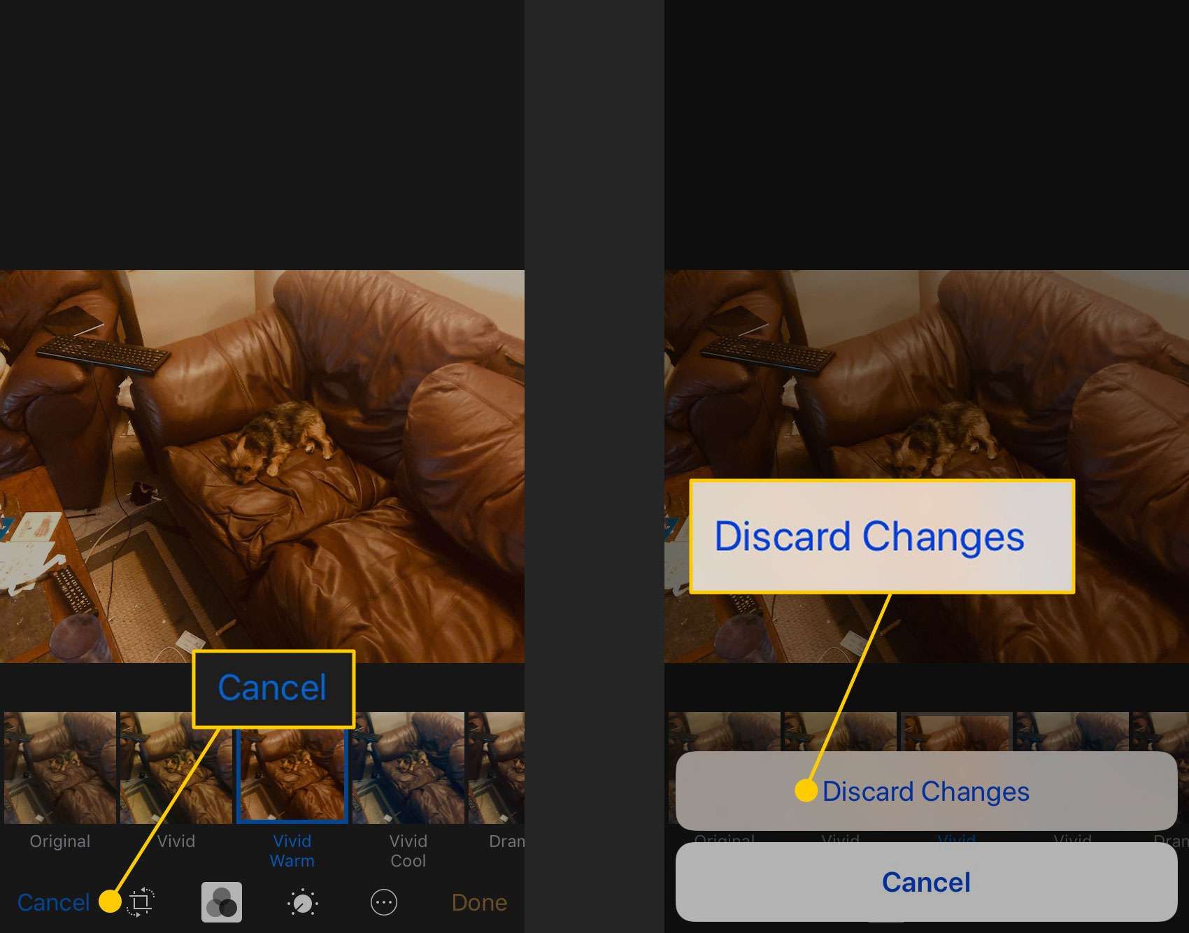 Отмена изменений при добавлении фильтра к фотографии на iPhone