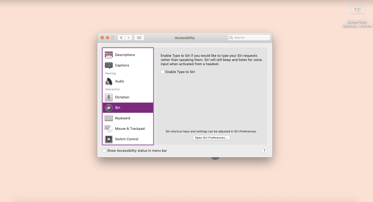 Снимок экрана параметров специальных возможностей на Mac