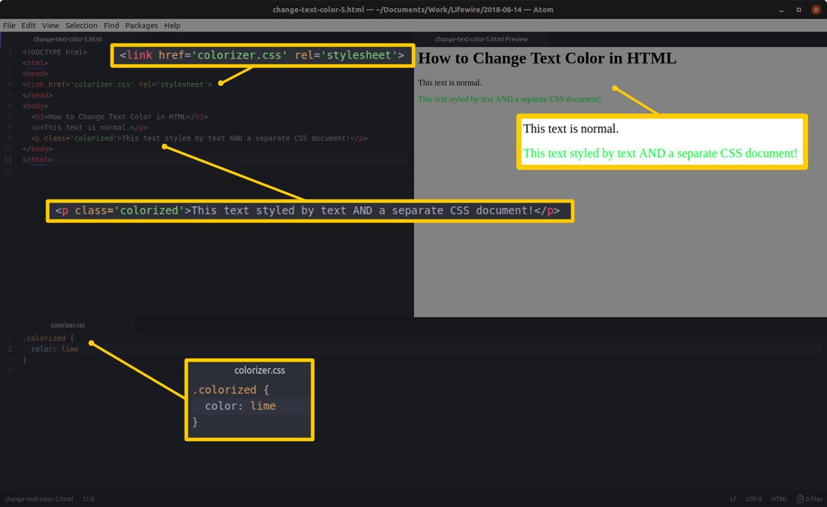 Редактор кода с HTML и выделенными разделами слева, предварительный просмотр HTML и выделенными результатами справа, а также панель редактирования CSS с выделенными разделами снизу