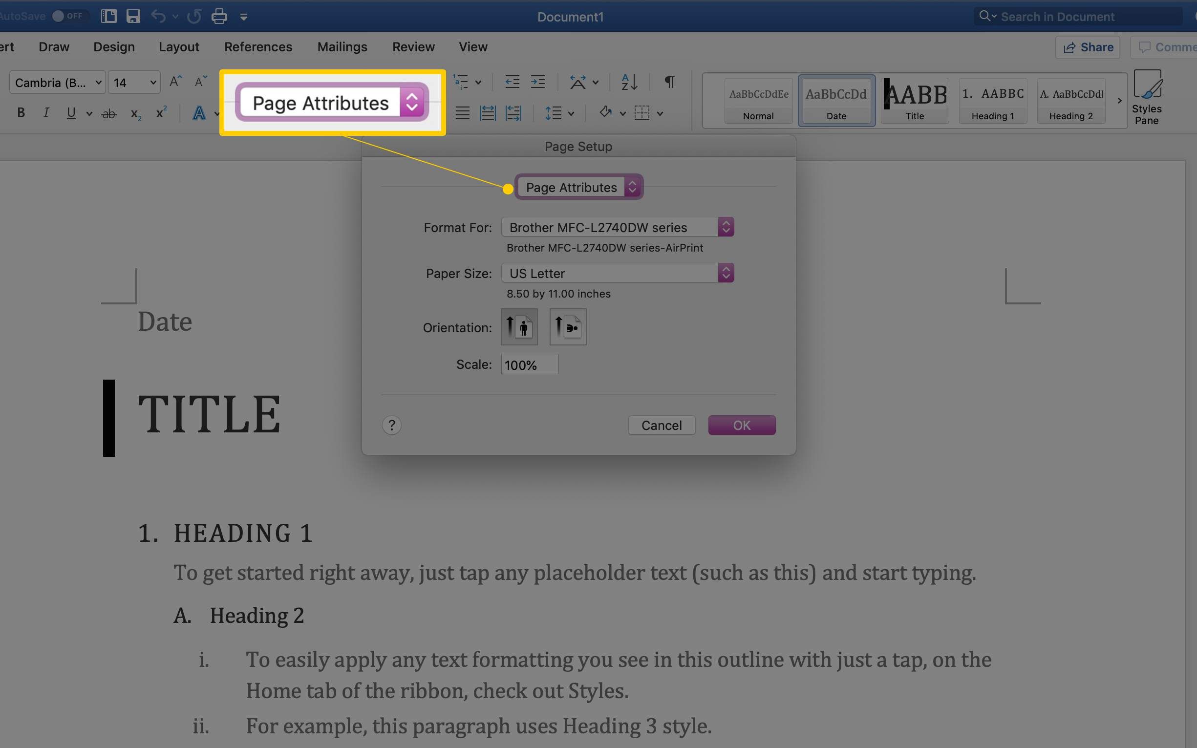 Параметр раскрывающегося меню «Атрибуты страницы» в диалоговом окне «Параметры страницы» в macOS