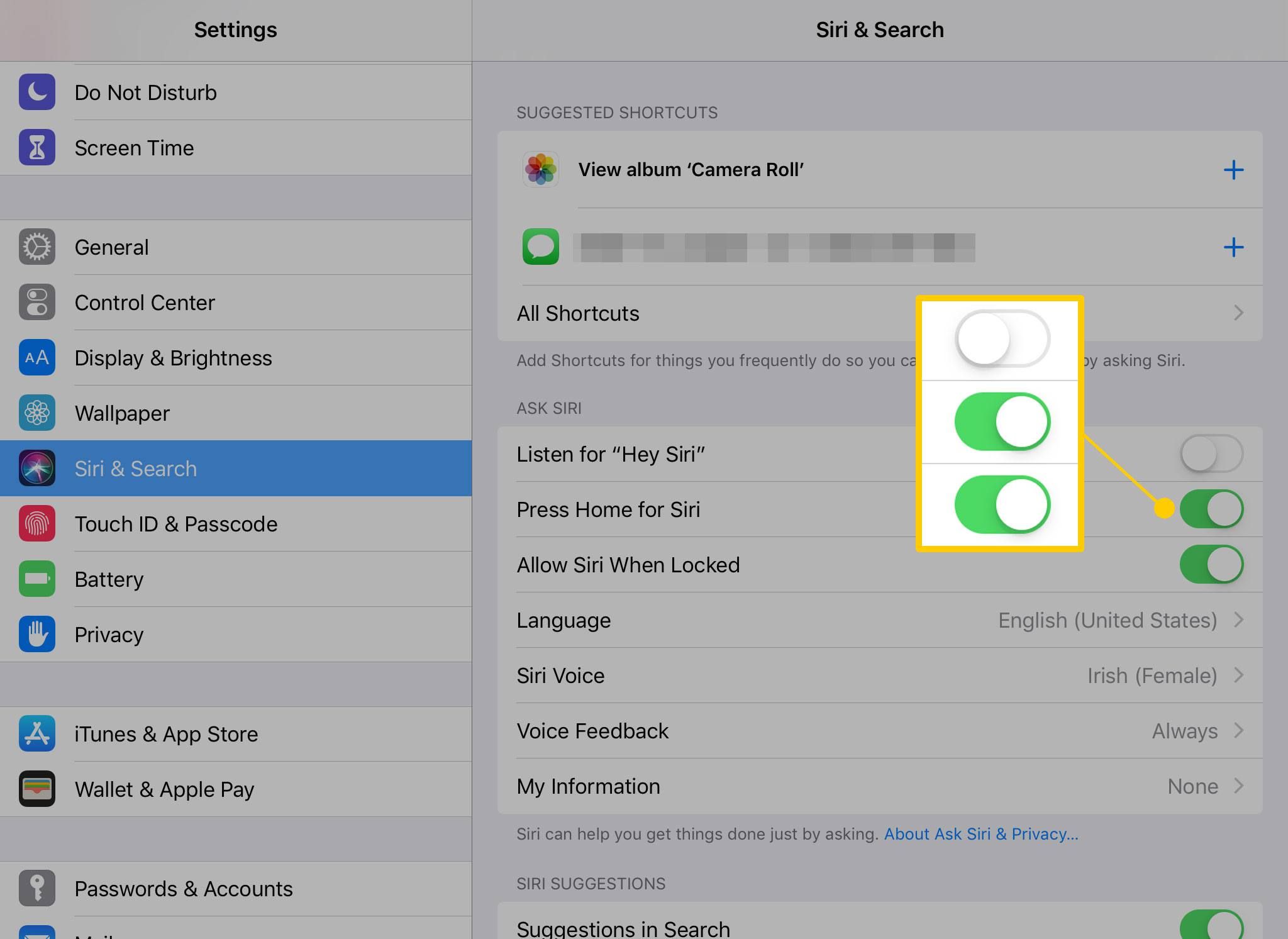 iPad Siri & Настройки поиска