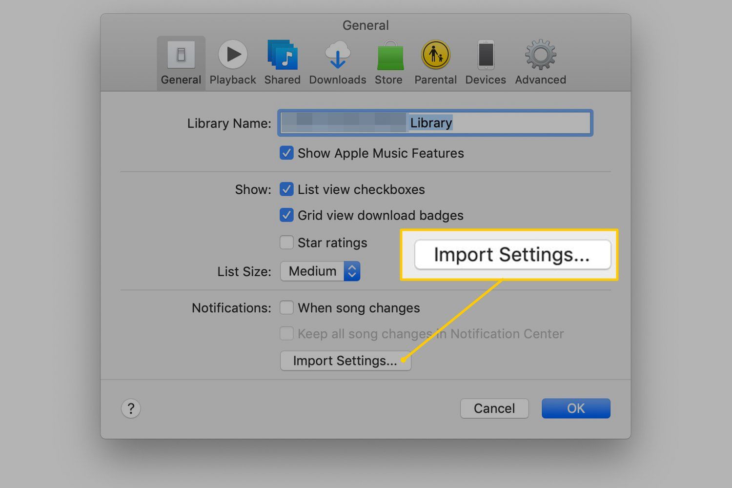 Кнопка «Импорт настроек» в настройках iTunes