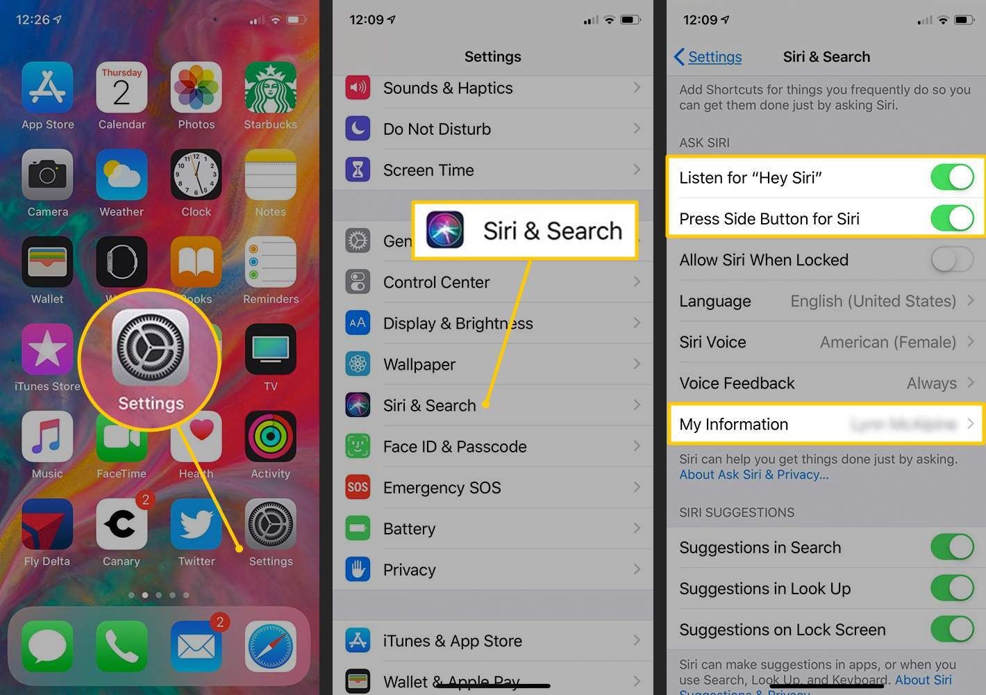 Значок настроек, Siri & Search, Параметры Siri в iOS
