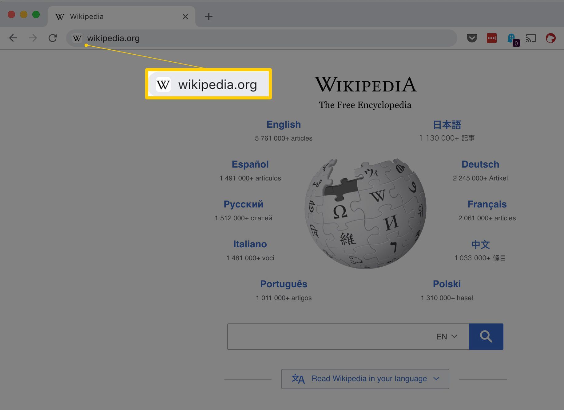 wikipedia.org в адресной строке веб-браузера