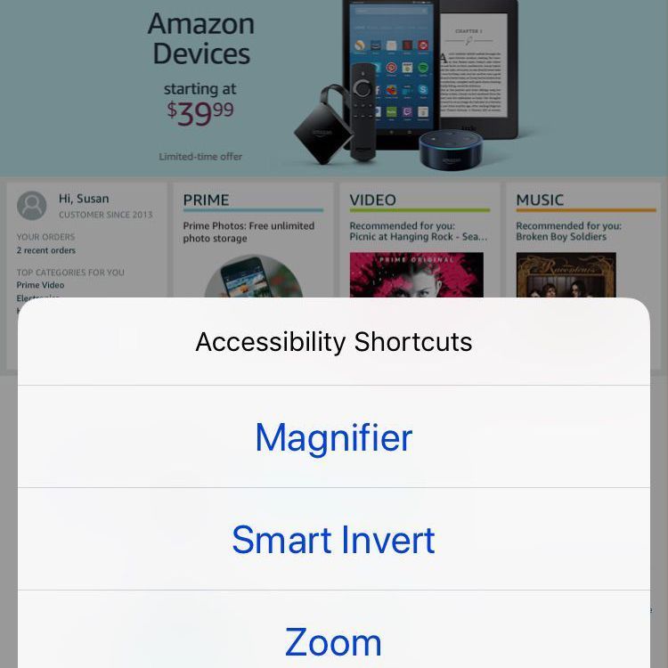 Снимок экрана iPhone с ярлыками меню специальных возможностей, которые появляются при тройном нажатии кнопки «Домой»
