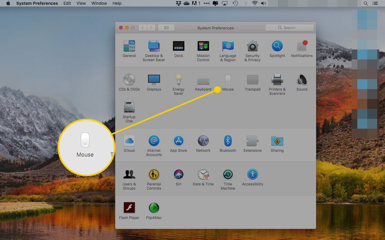 Системные настройки на Mac с выделенным разделом «Мышь»