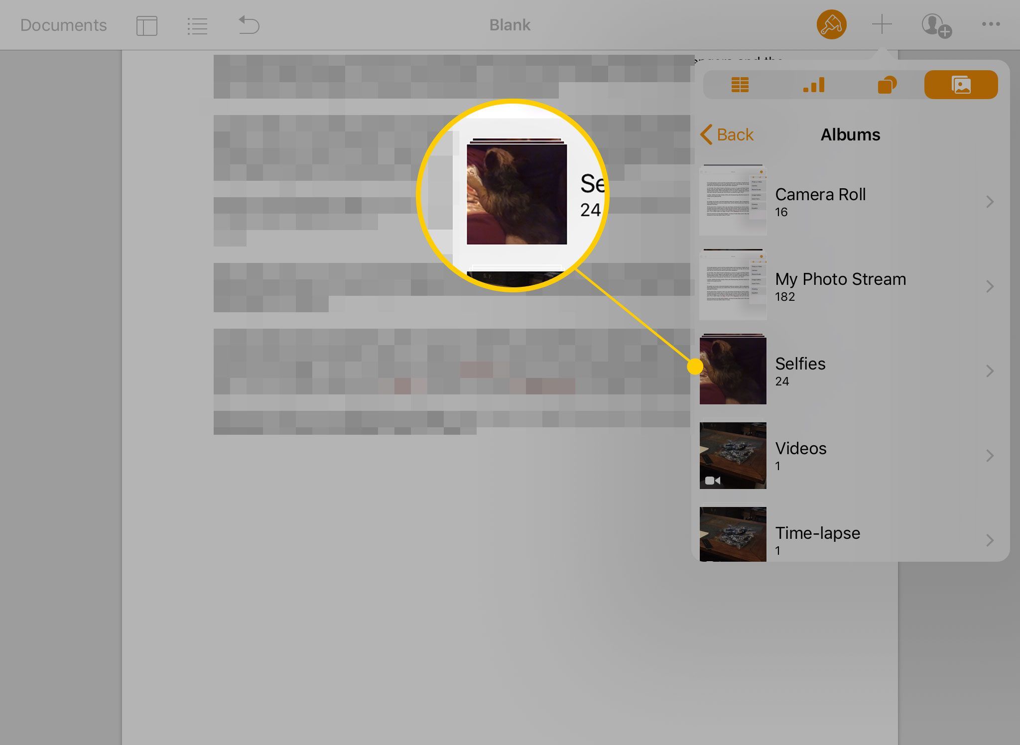Выбор альбома для размещения фотографии в Pages для iPad