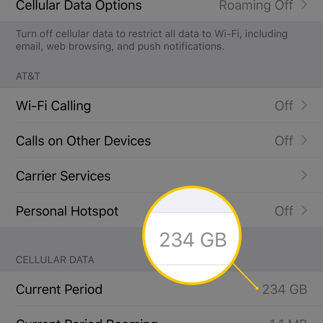 Скриншот экрана iOS Cellular Data