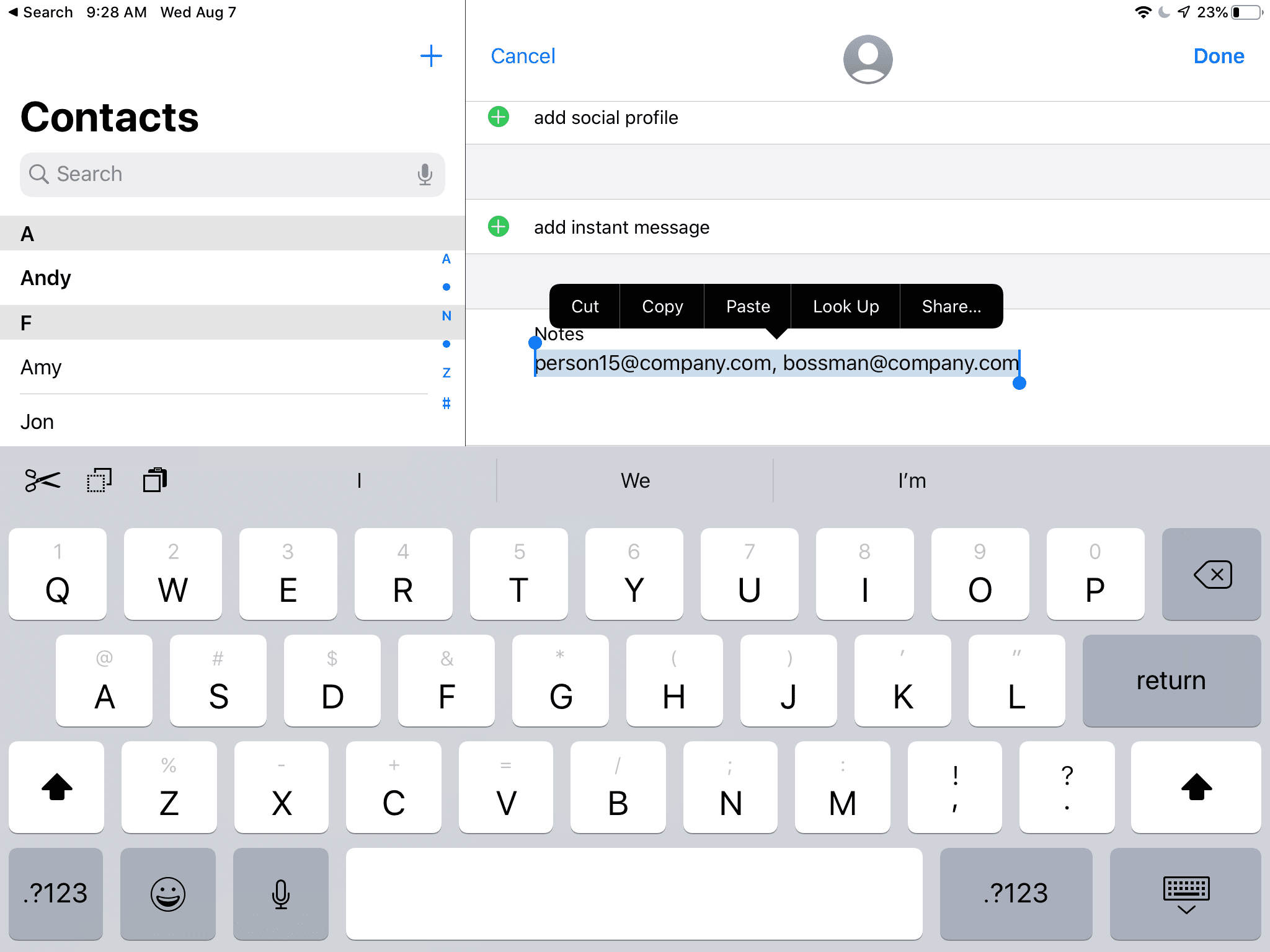 Выделенные адреса электронной почты в приложении контактов iPad