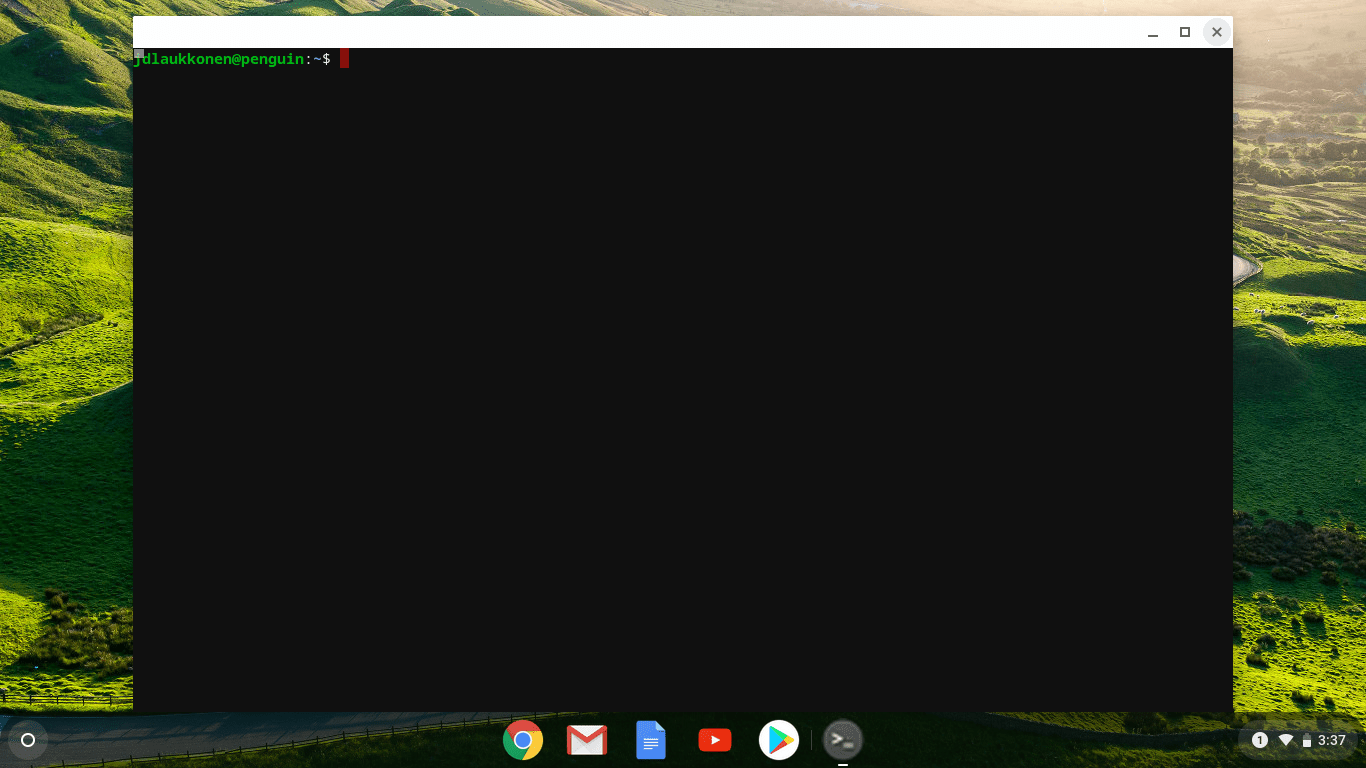 Скриншот окна терминала Linux на Chrome OS.