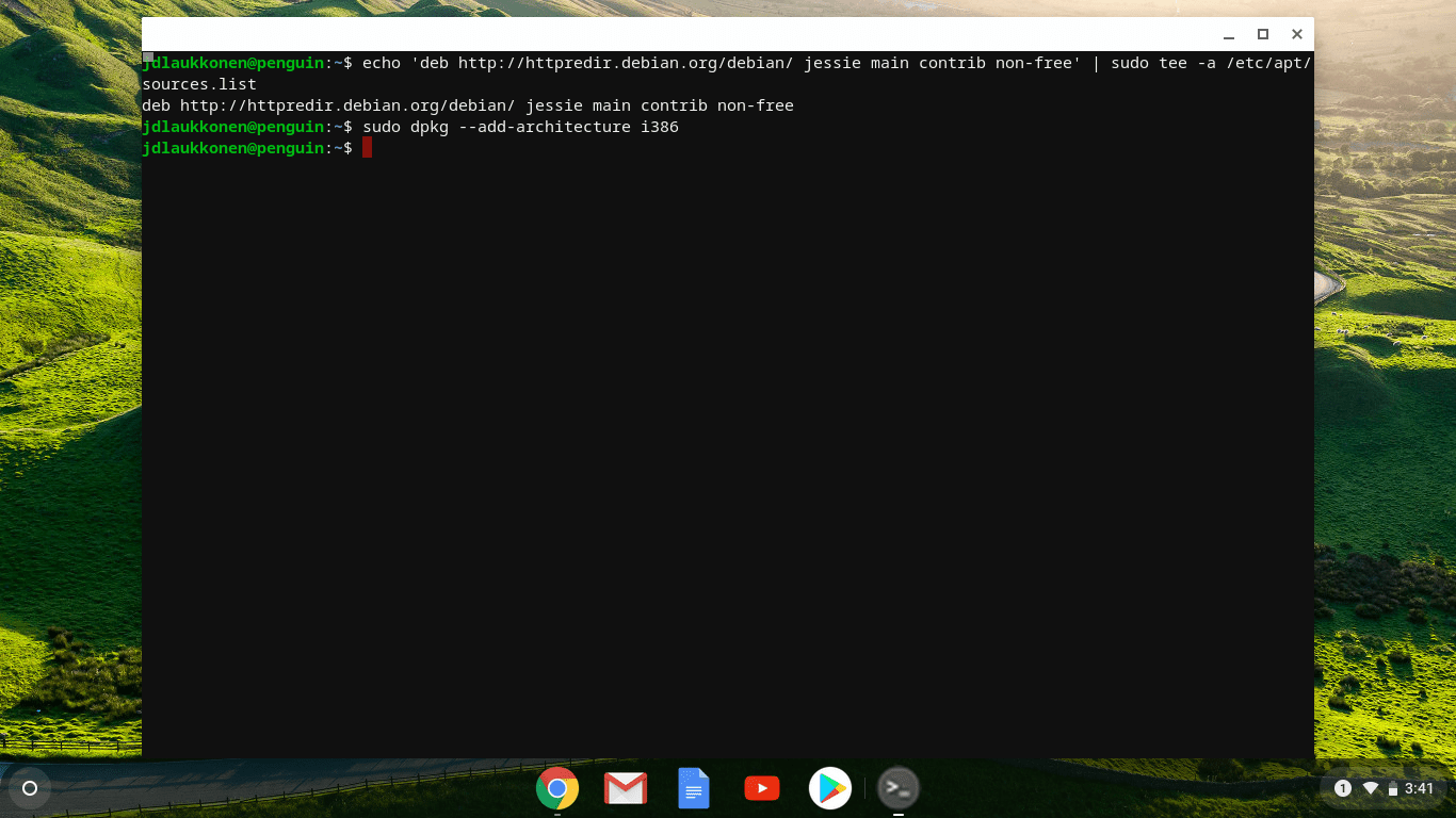 Скриншот окна терминала Linux на Chrome OS.