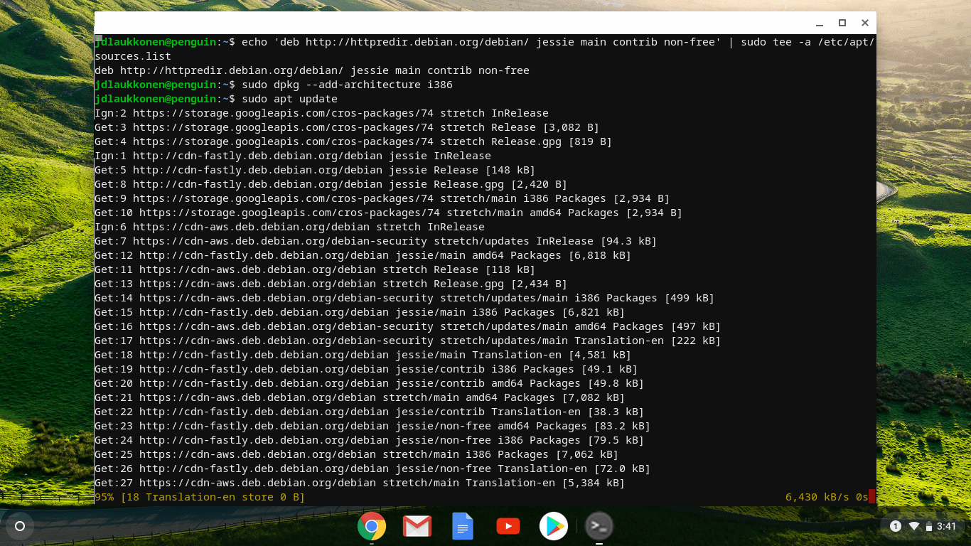 Скриншот терминала Linux на Chrome OS.