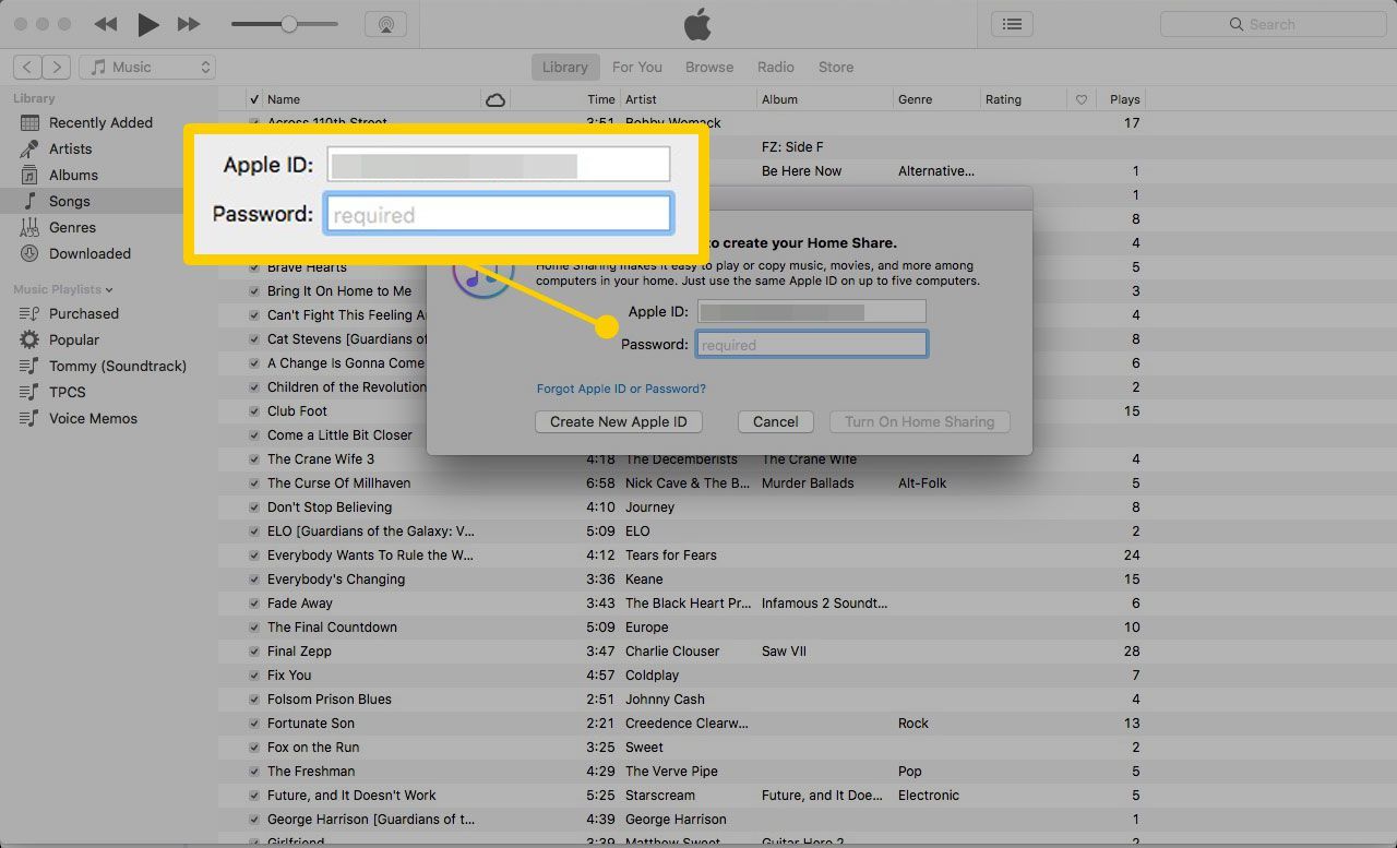 Домашний обмен iPad с iTunes