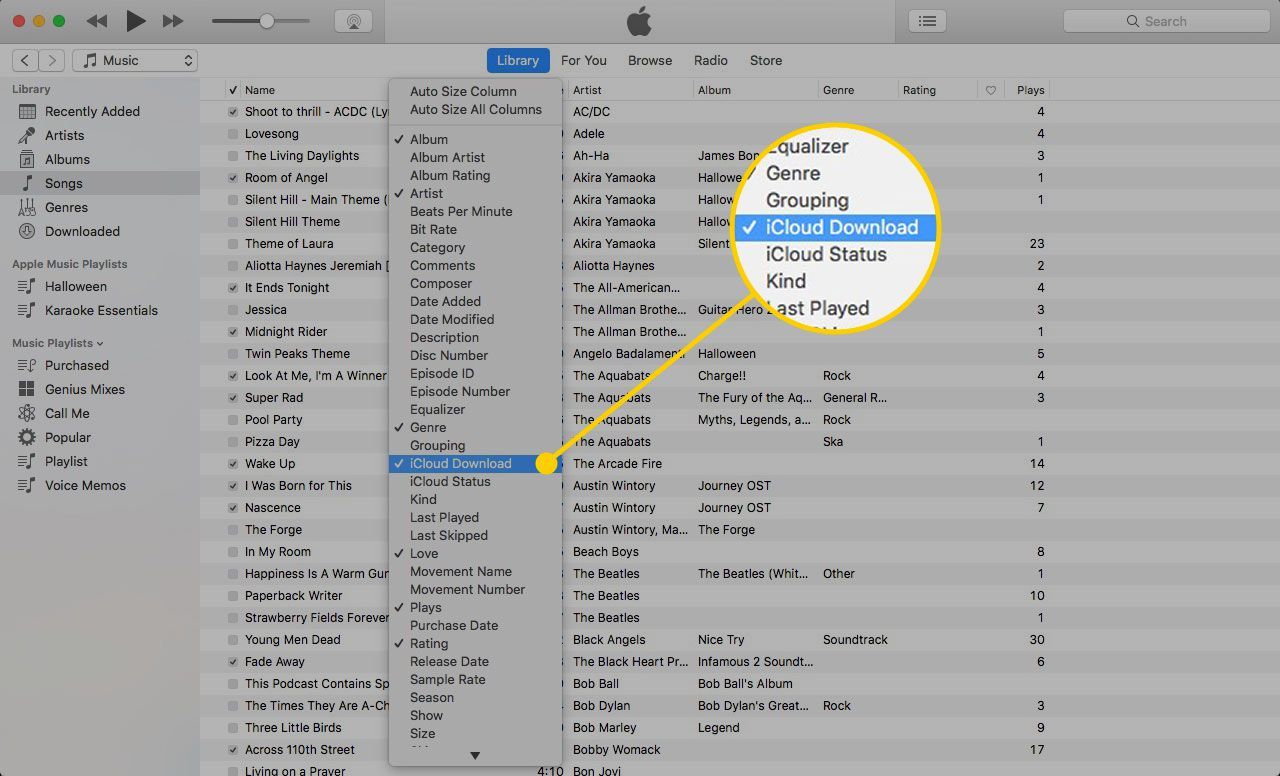 iTunes на Mac с выделенной настройкой меню загрузки iCloud