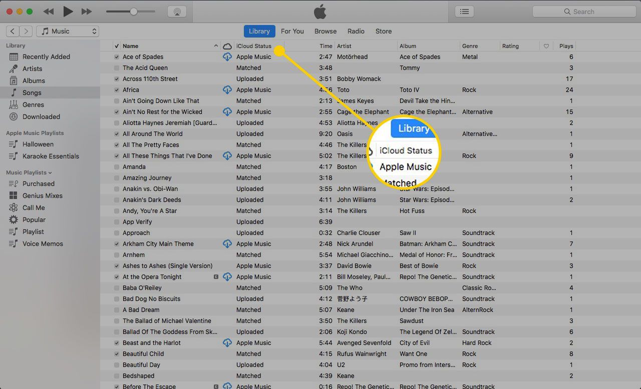 iTunes на Mac с выделенным заголовком iCloud Status