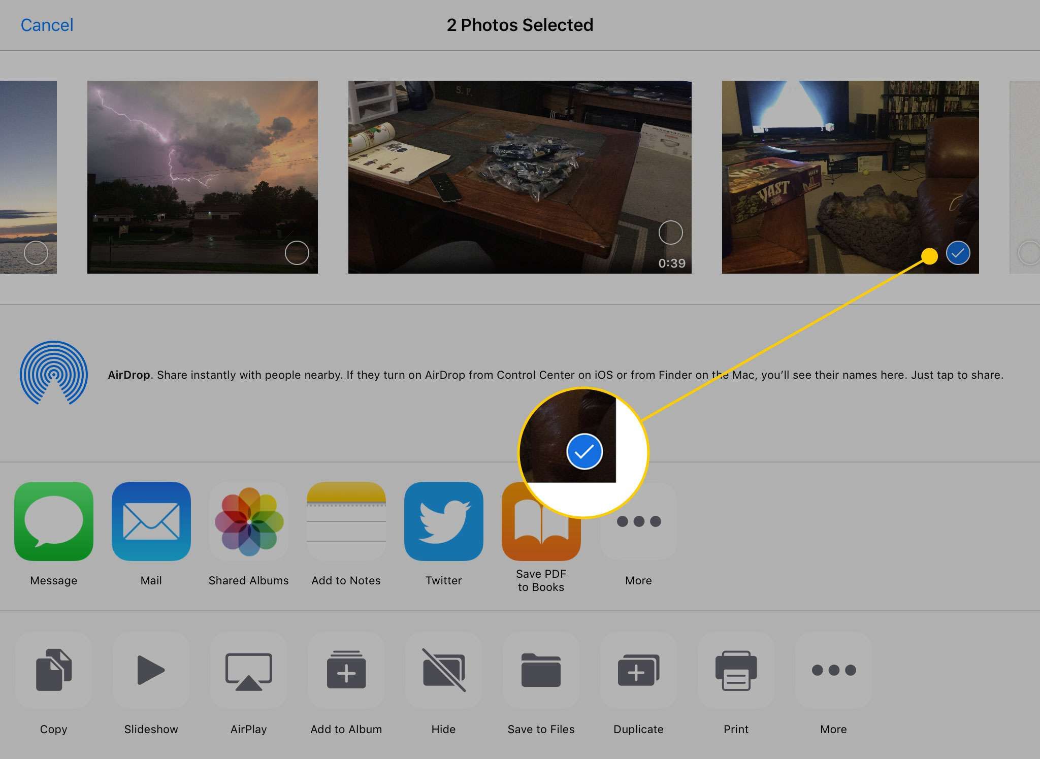 Меню «Поделиться» на iPad с выделенной синей галочкой рядом с выбранной фотографией