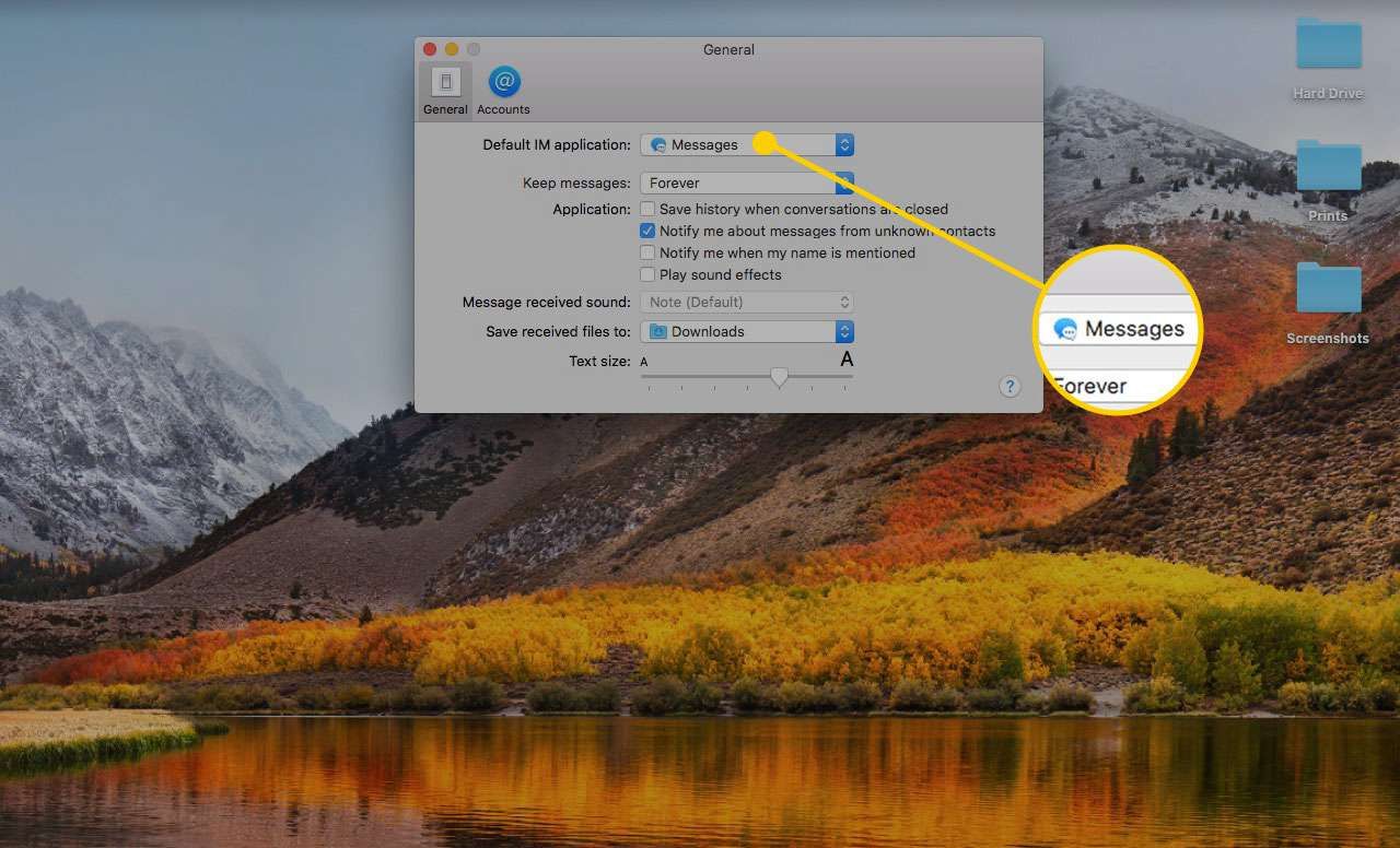 Окно «Общие настройки» в «Сообщения на Mac» с выделенным меню «Приложение по умолчанию»
