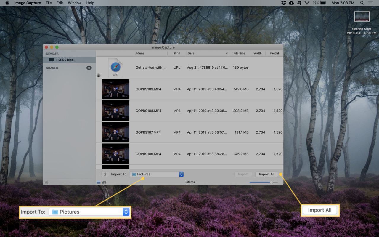 Скриншот импорта видео с помощью захвата изображения.
