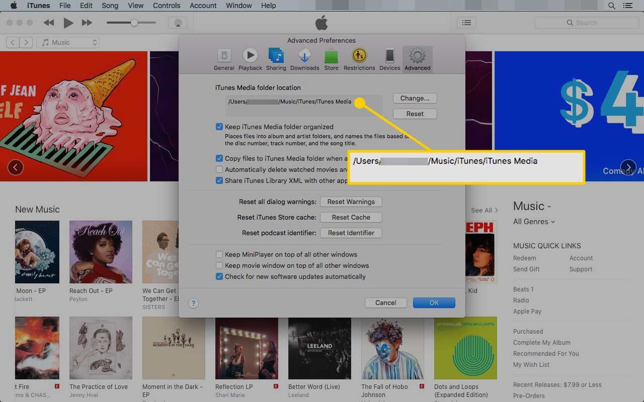 Дополнительные настройки iTunes с выделением расположения папки «Медиа»