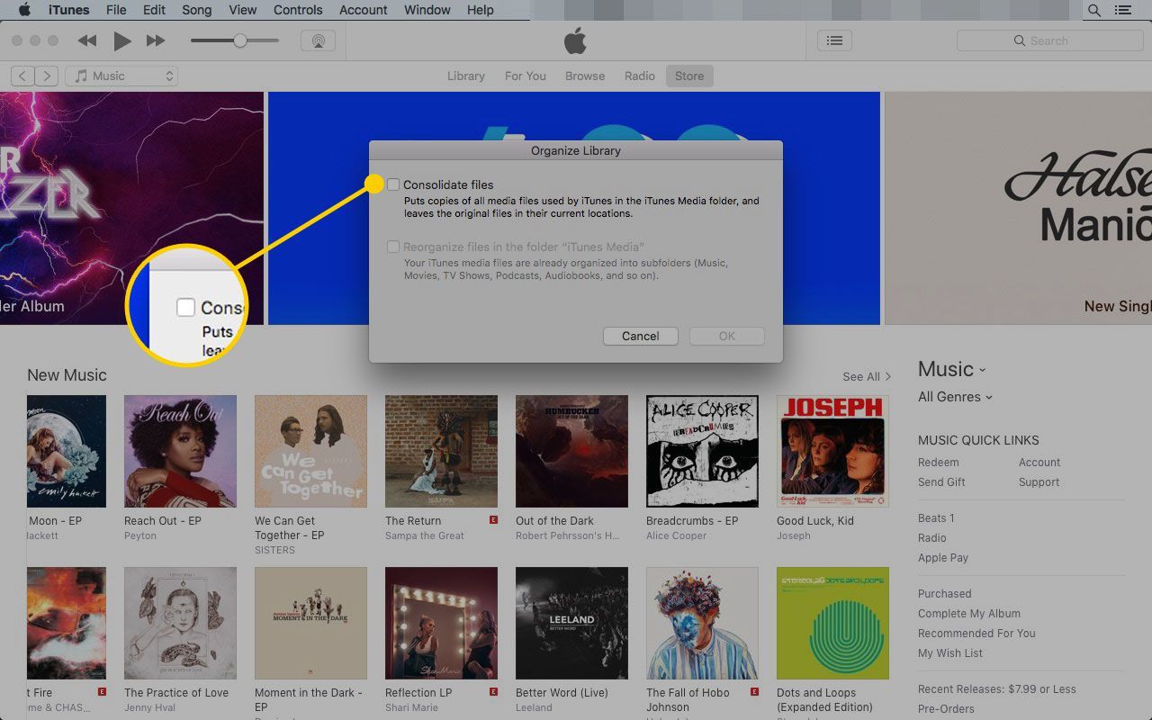 Окно «Организация библиотеки» в iTunes с выделенным полем «Объединить файлы»