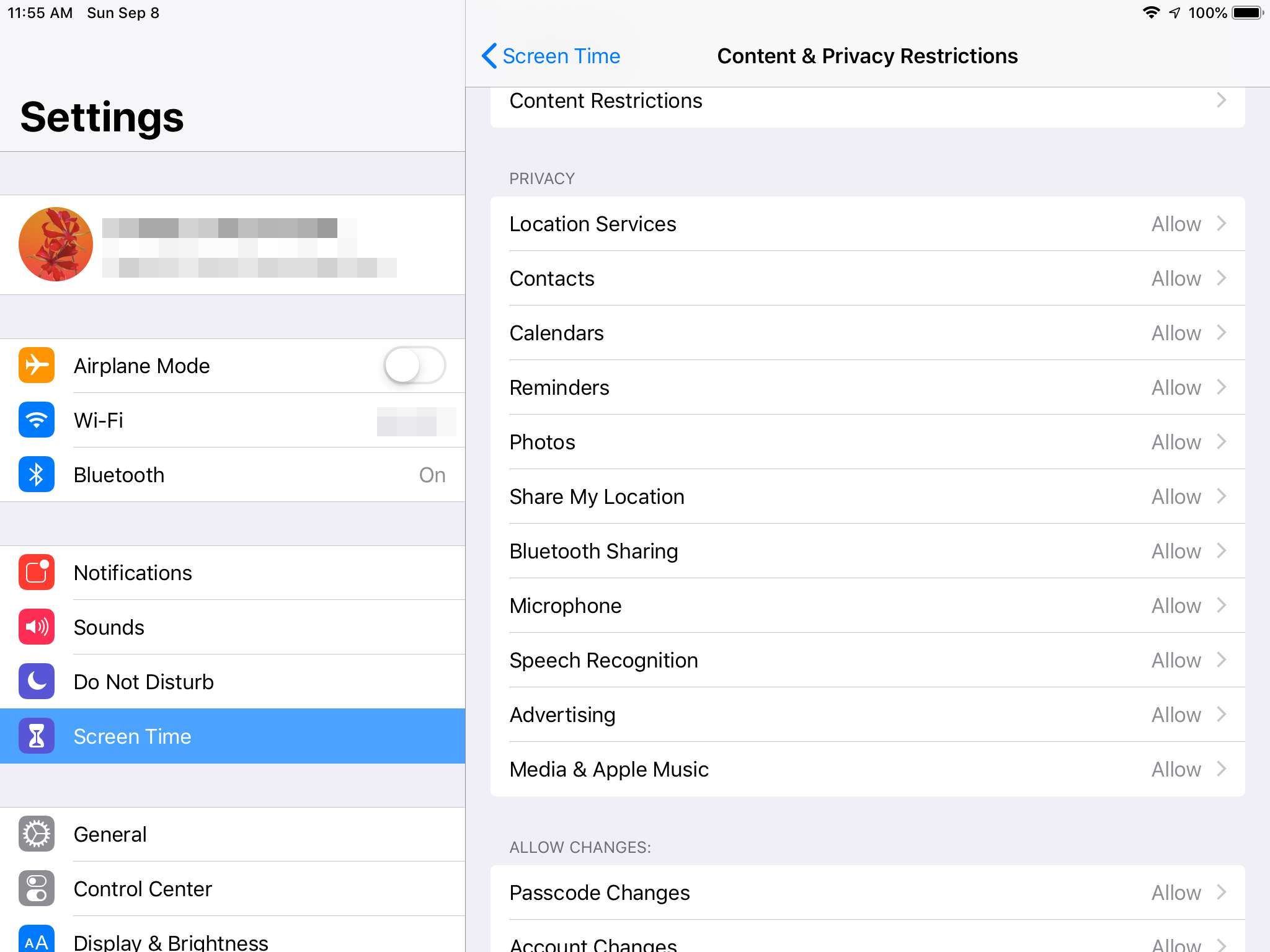 Раздел конфиденциальности iPad Содержимое и ограничения конфиденциальности