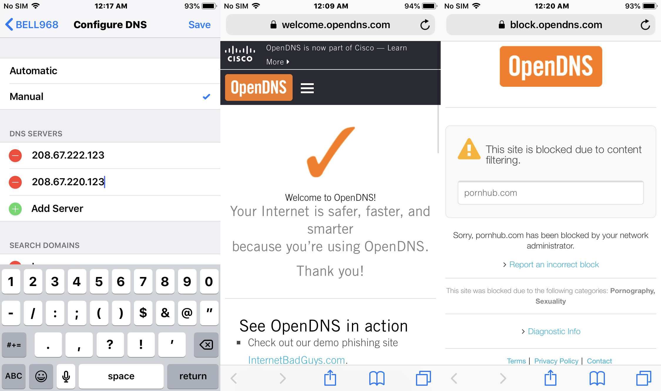 Скриншот OpenDNS, блокирующий сайт для взрослых.