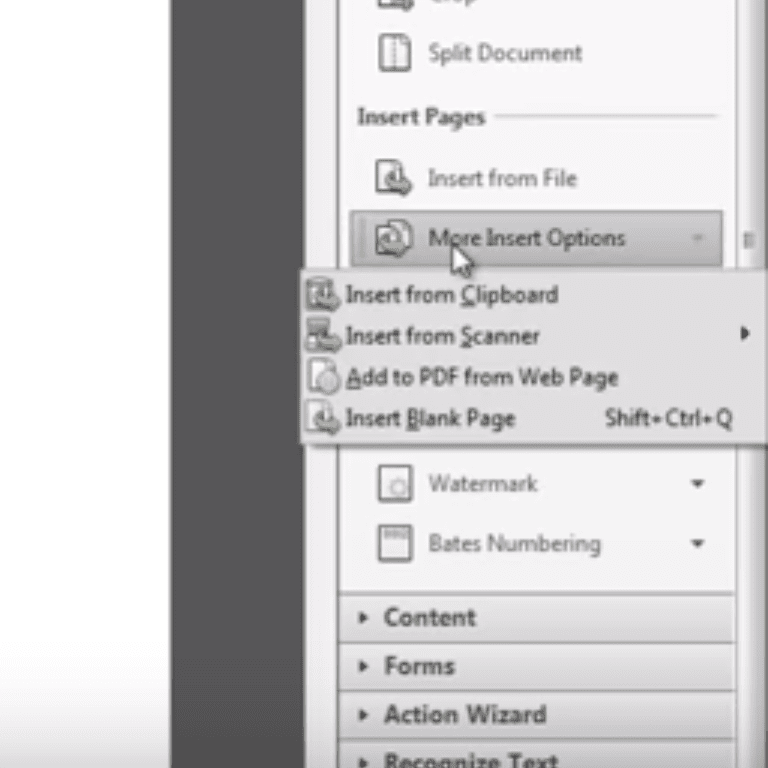 Снимок экрана: дополнительные параметры вставки в Adobe Acrobat.