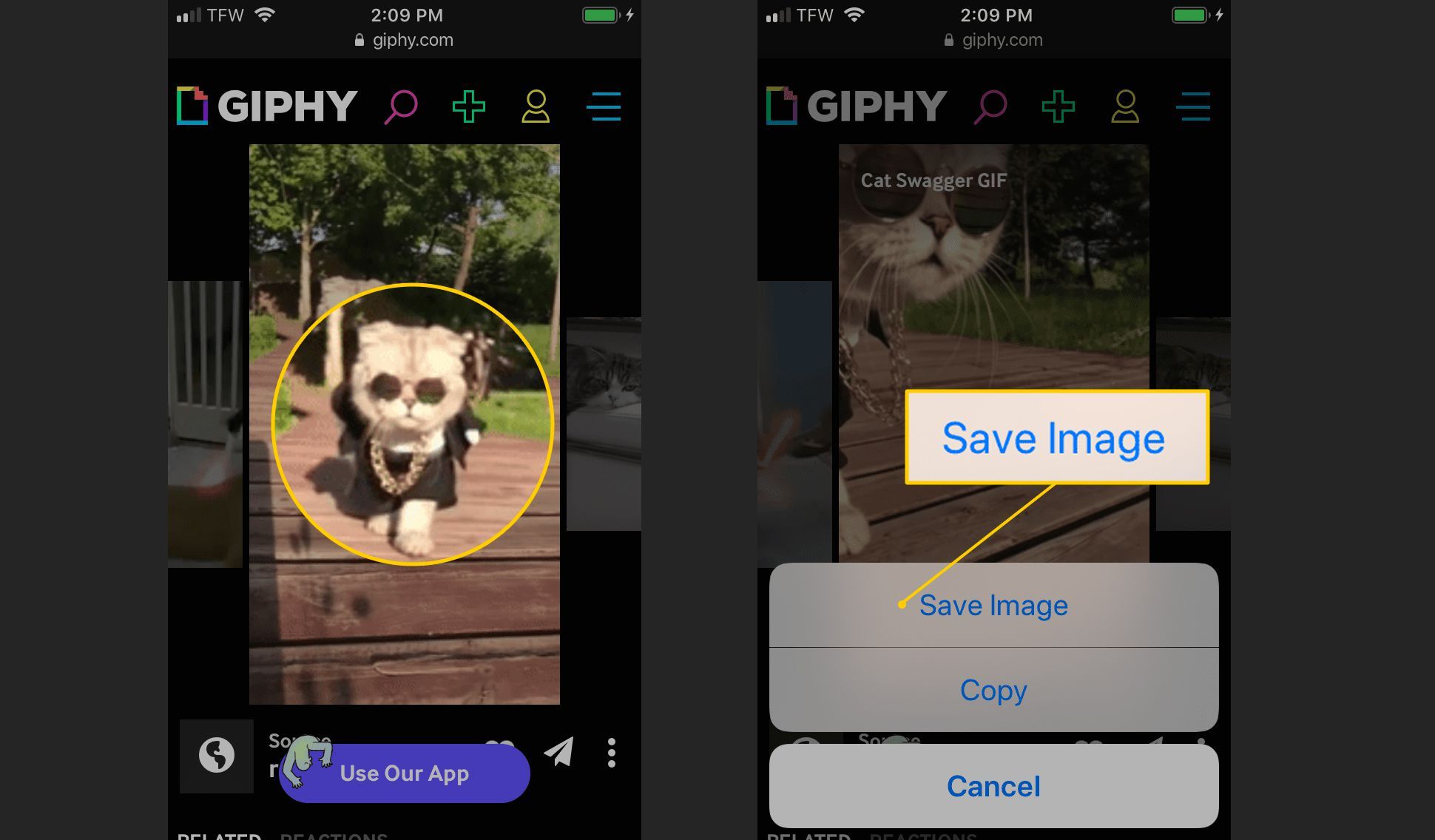 GIF для сохранения и кнопка Сохранить изображение на iOS