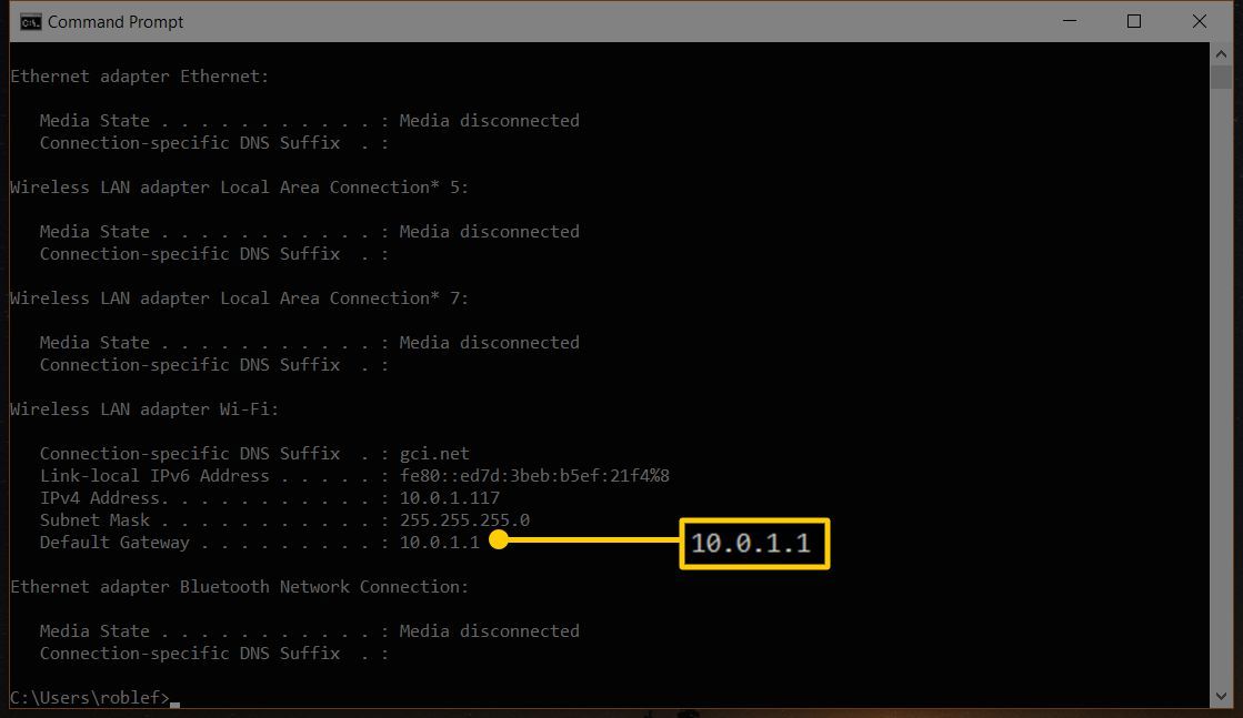 Снимок экрана приложения командной строки Windows, показывающего шлюз по умолчанию 10.0.1.1