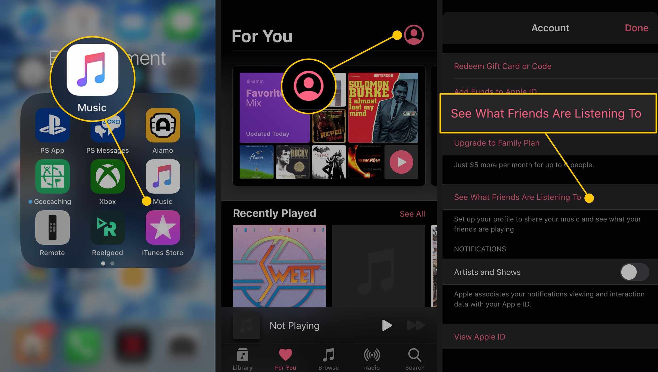 Посмотрите, что друзья слушают опцию в настройках учетной записи Apple Music