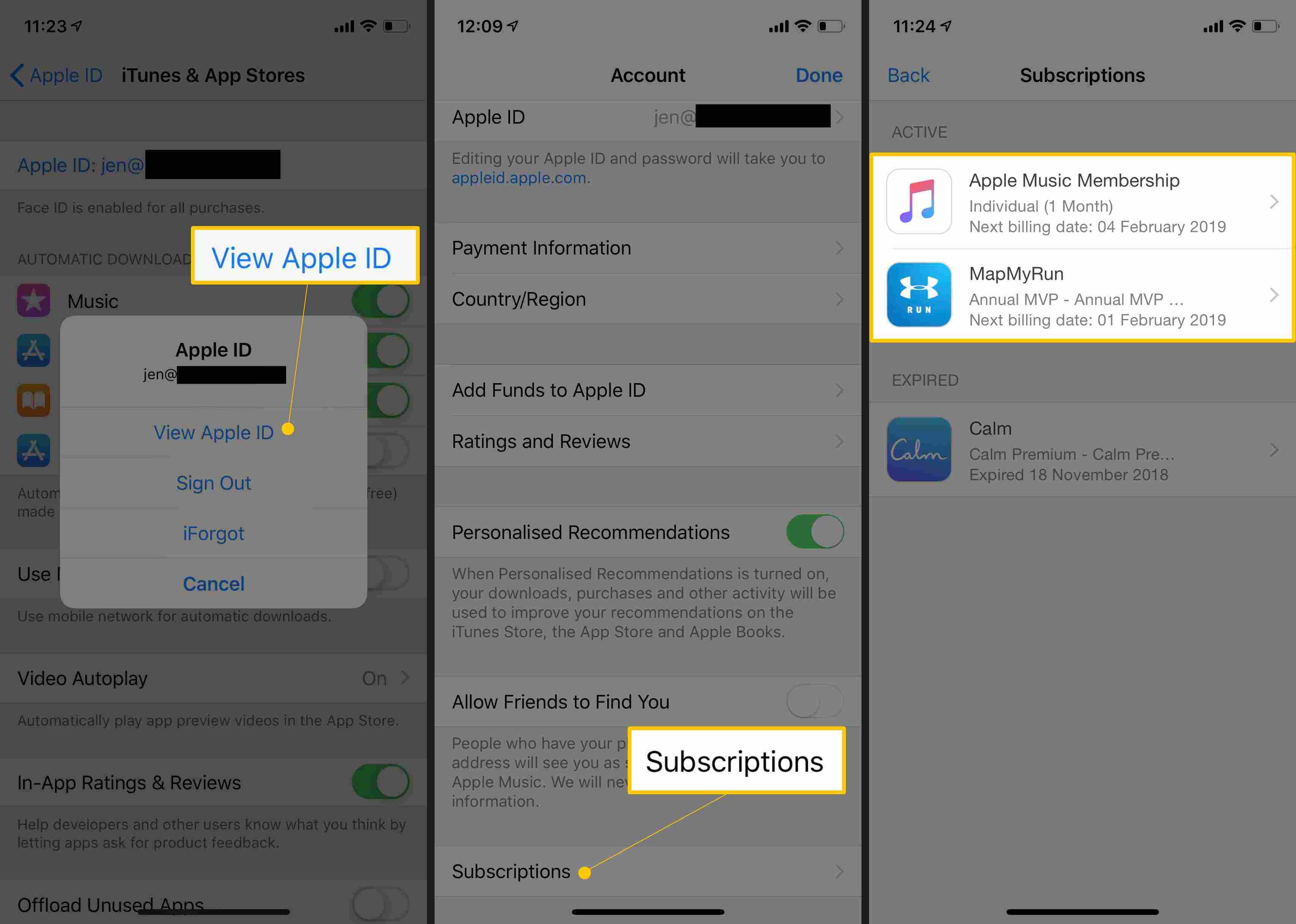 Просмотр Apple ID, подписок, двух подписок в настройках iOS