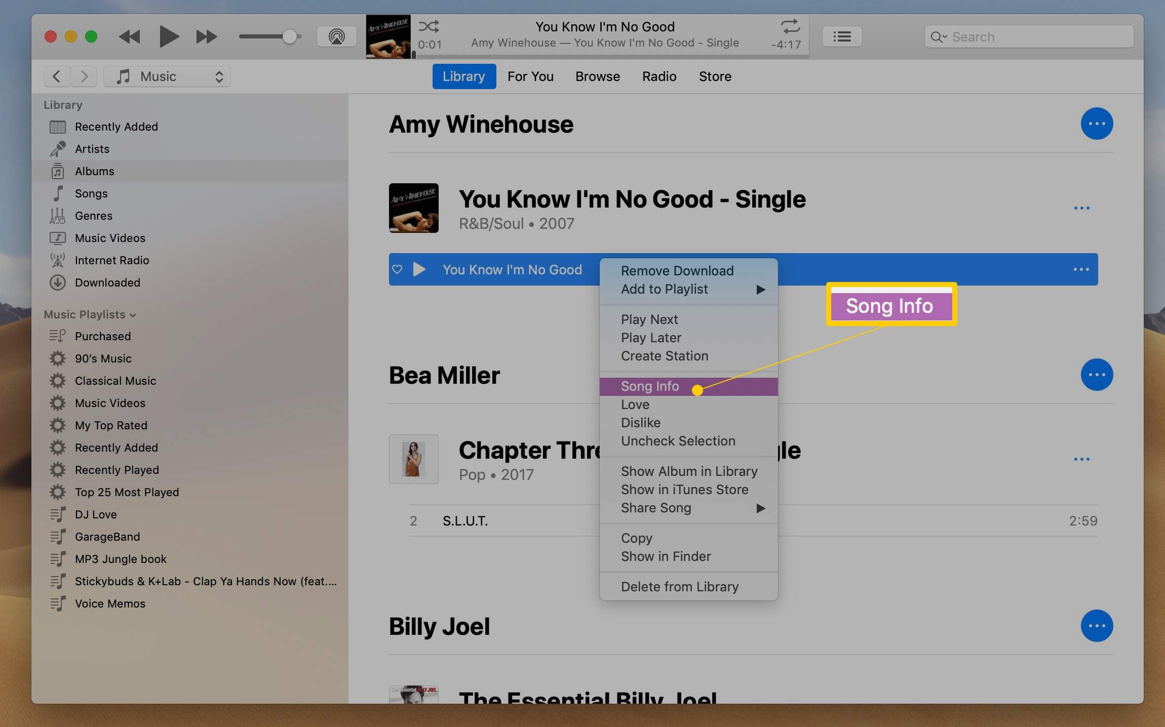 Информация о песне в iTunes для macOS