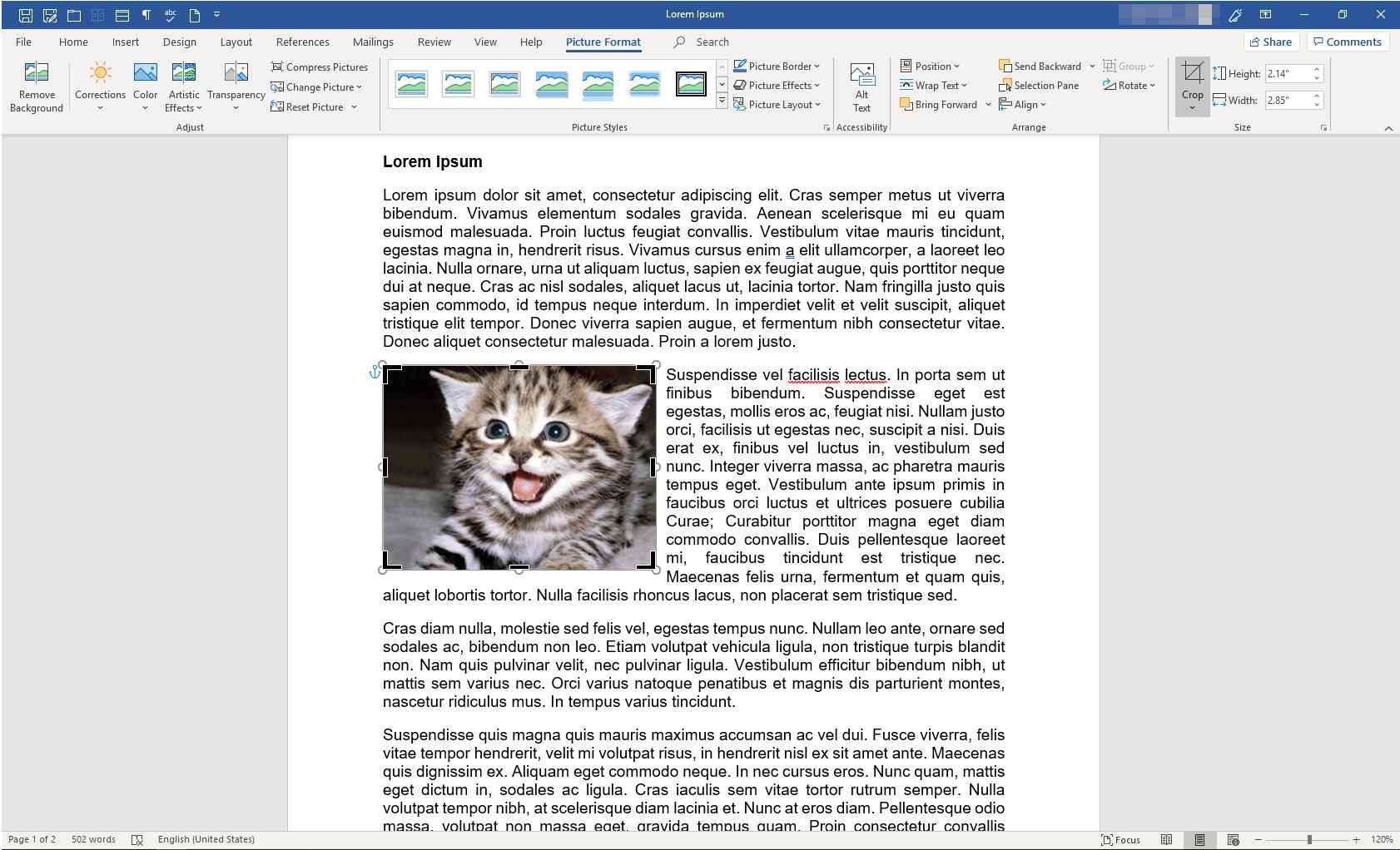 Документ MS Word с отображенными ручками изображений и обрезки