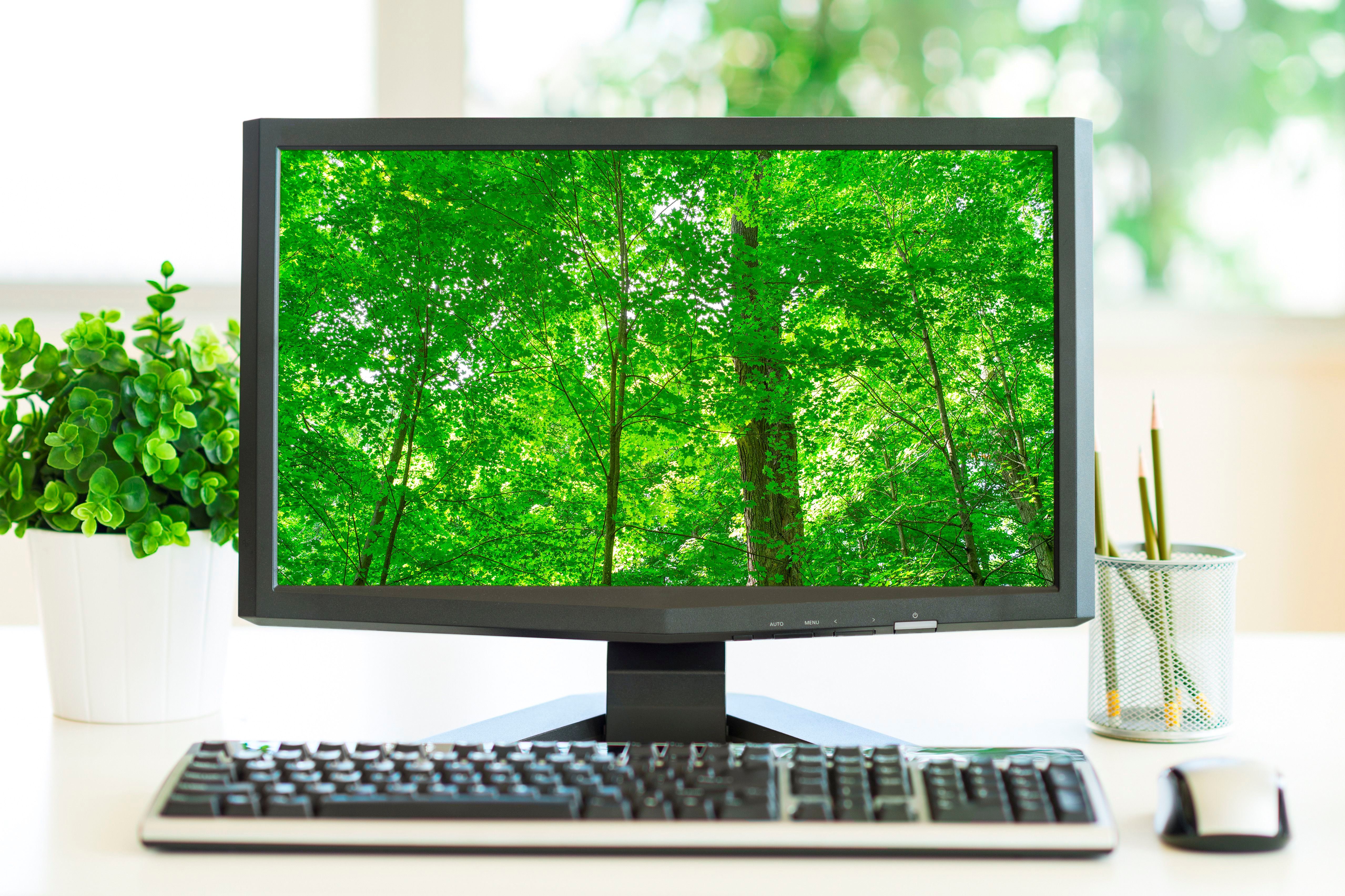 Компьютер под управлением Windows с экраном, на котором показана сцена леса