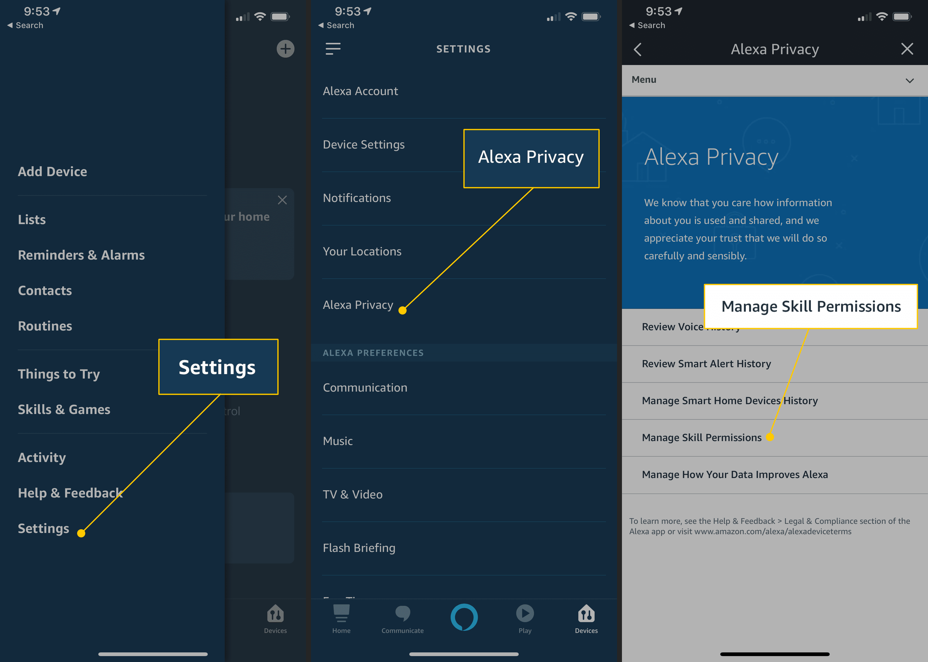 Настройки, конфиденциальность Alexa, кнопки управления разрешениями в приложении Alexa на iOSa