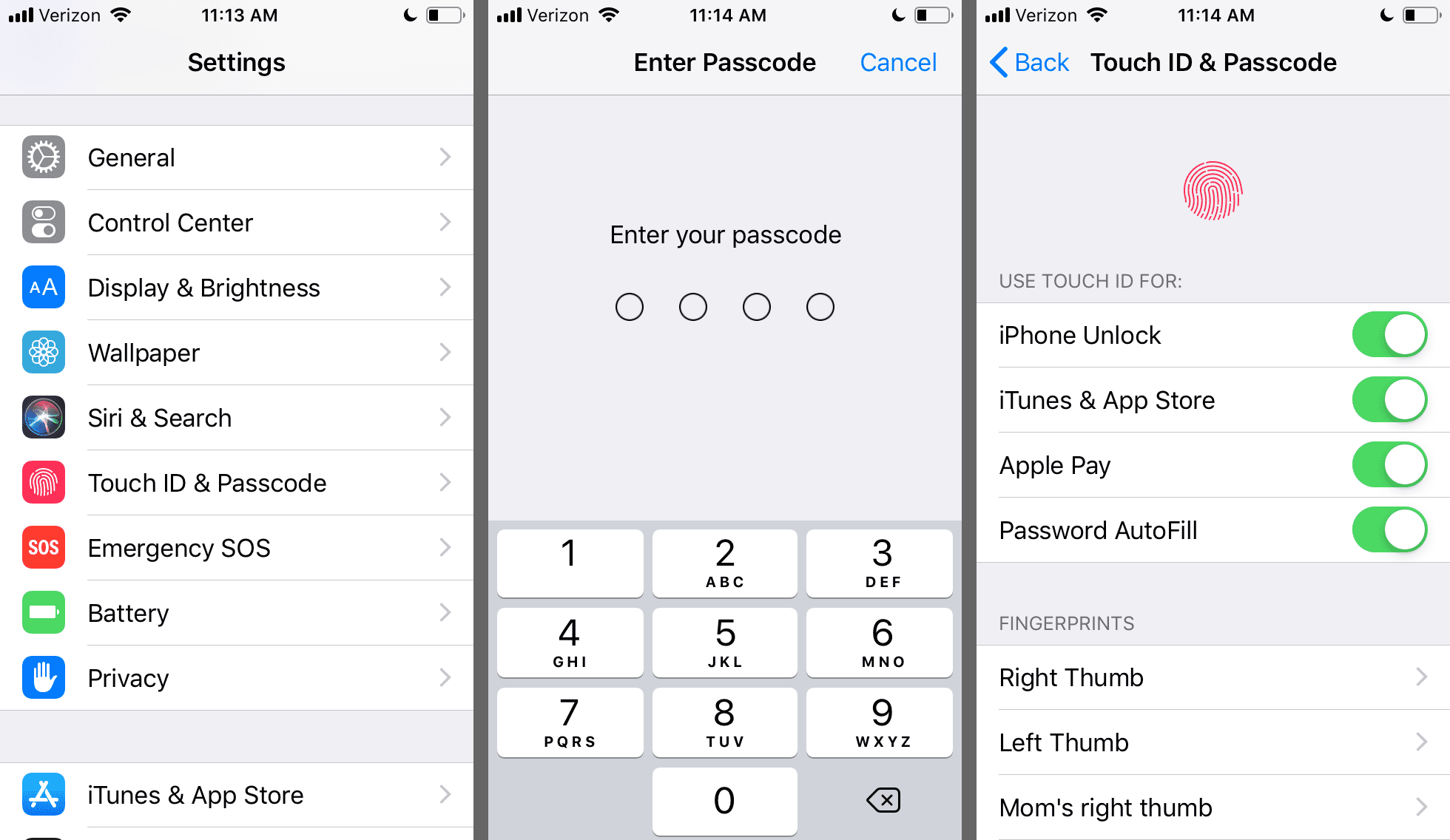 Настройки, ввод пароля, сенсорный идентификатор и пароль на iPhone