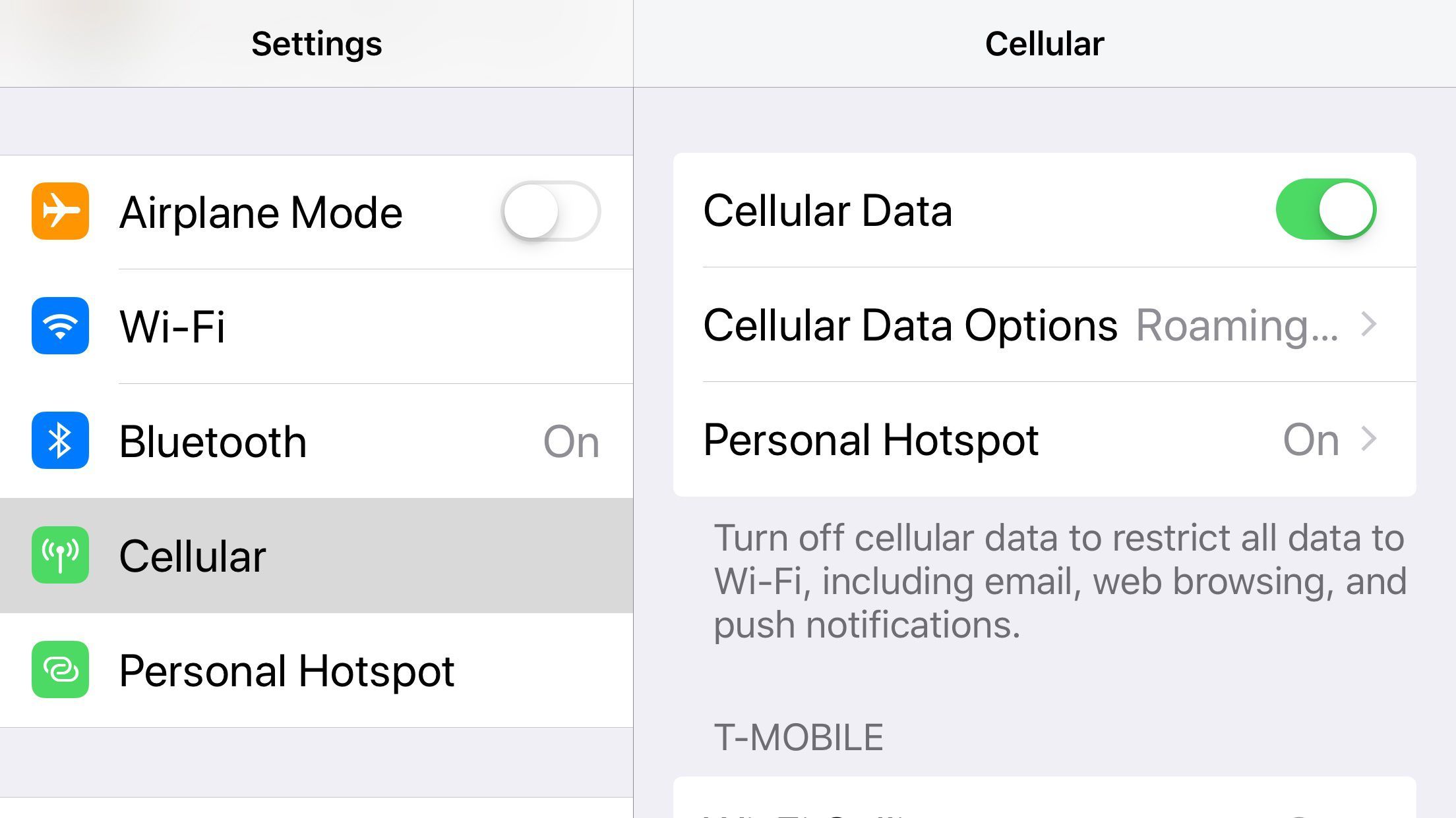 Снимок экрана настроек сотовой связи iOS, показывающий параметр Cellular Data.
