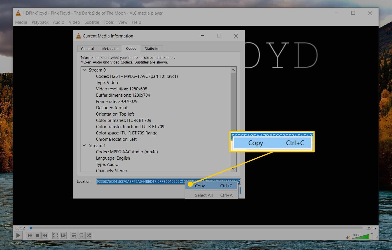 Скопируйте подменю в диалоговом окне с информацией о кодеке VLC