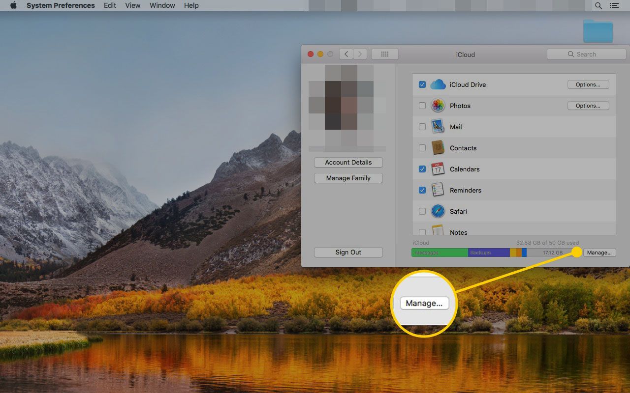 Настройки iCloud на Mac с выделенной кнопкой «Управление»