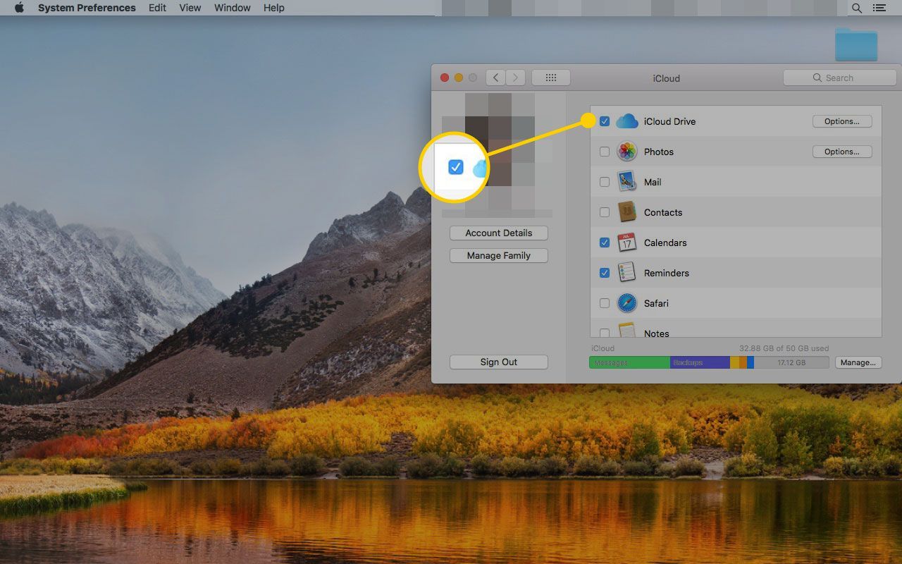 Настройки iCloud на Mac с выделенным полем рядом с iCloud Drive