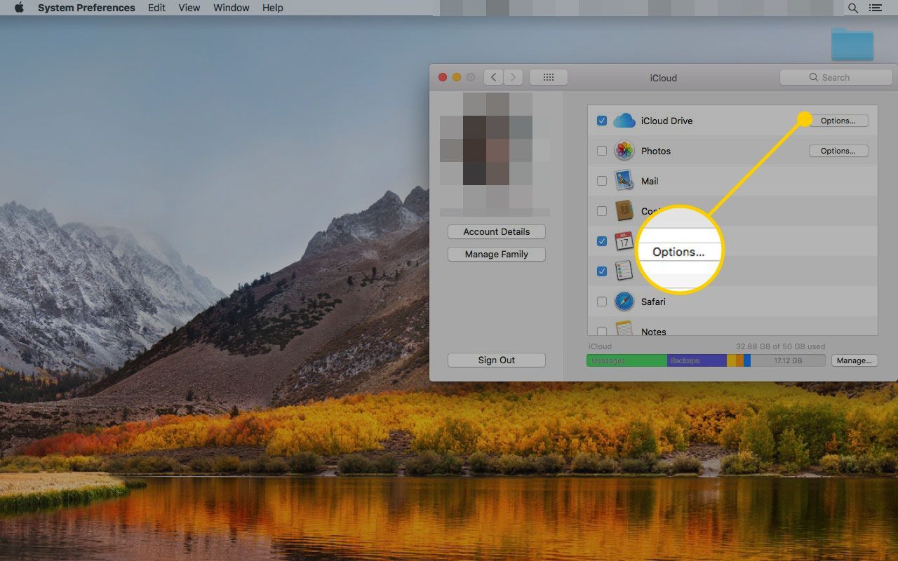 Настройки iCloud на Mac с выделенной кнопкой «Параметры» рядом с «iCloud Drive»