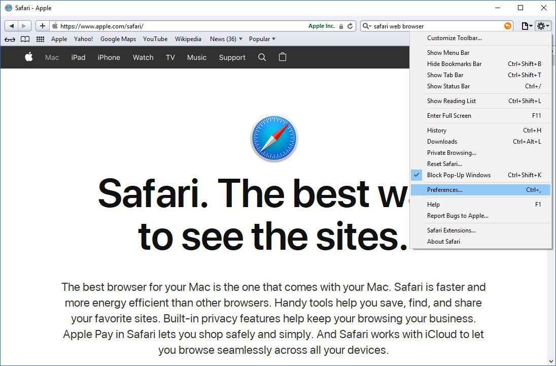 Снимок экрана, показывающий главное меню в Safari