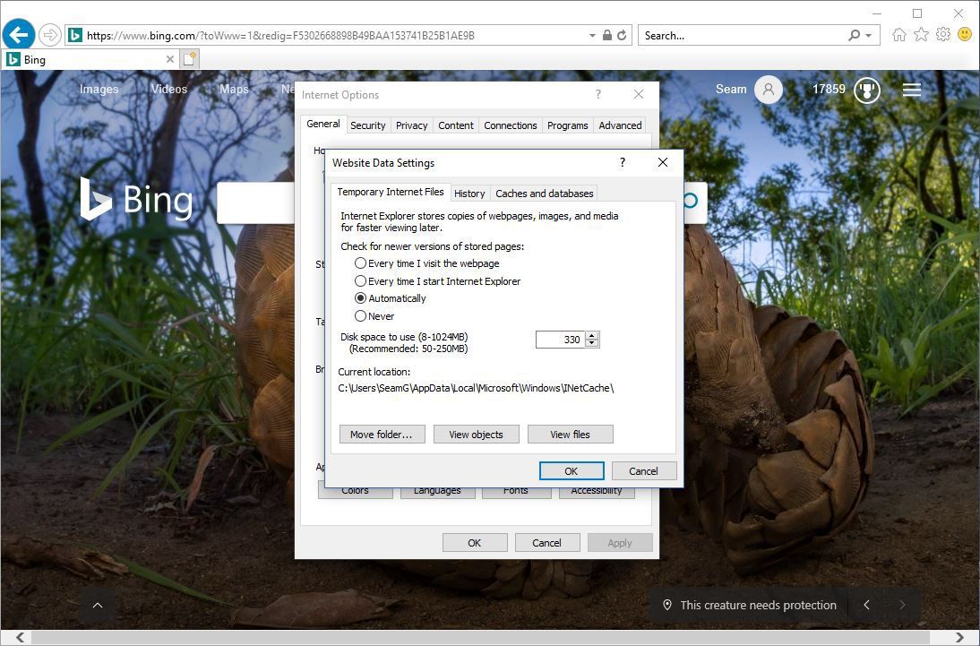 Снимок экрана, показывающий, как найти список файлов cookie в Internet Explorer