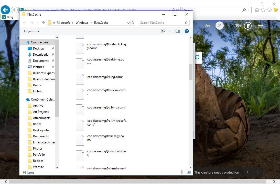 Снимок экрана, показывающий, как очистить файлы cookie для сайта в Internet Explorer