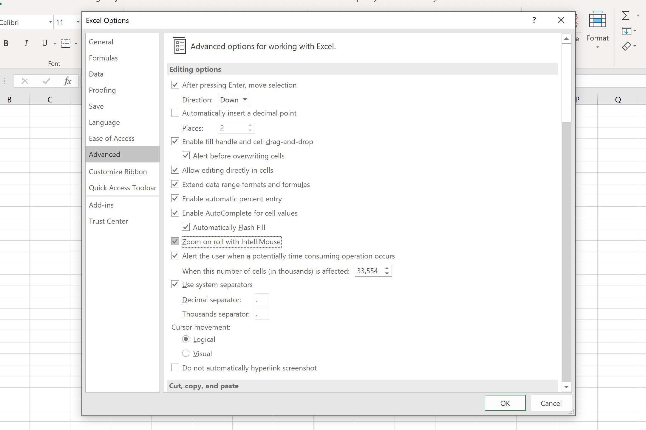 Снимок экрана Excel, показывающий параметр IntelliMouse